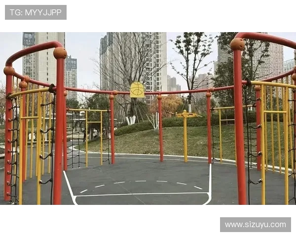 组合式健身器材:组合式健身器材的功能与购买建议