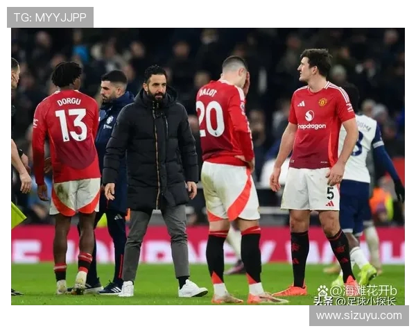 2018英超球队主场:2018赛季英超各球队主场分析 2018英超球队主场:2018赛季英超各球队主场分析