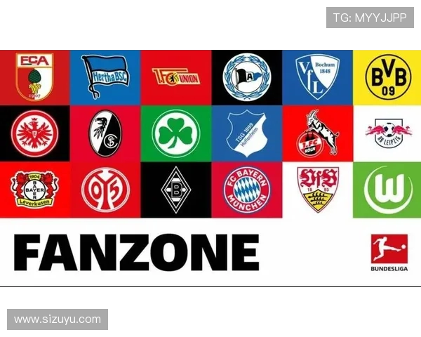 德甲每支球队收入排名及财务状况分析