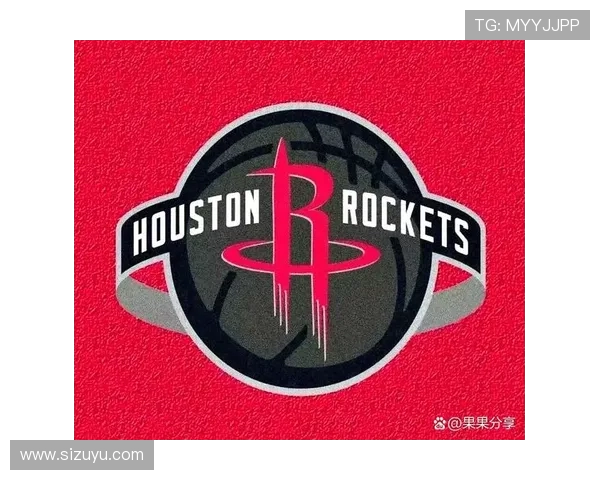 火箭队名将凯文·威利斯的生涯回顾与火箭时期表现